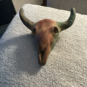 Beautiful cattle skull
